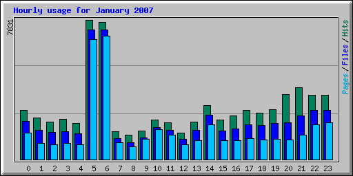 Hourly usage for January 2007