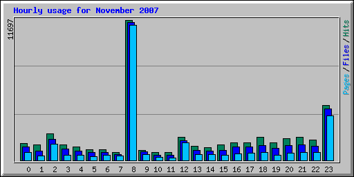 Hourly usage for November 2007